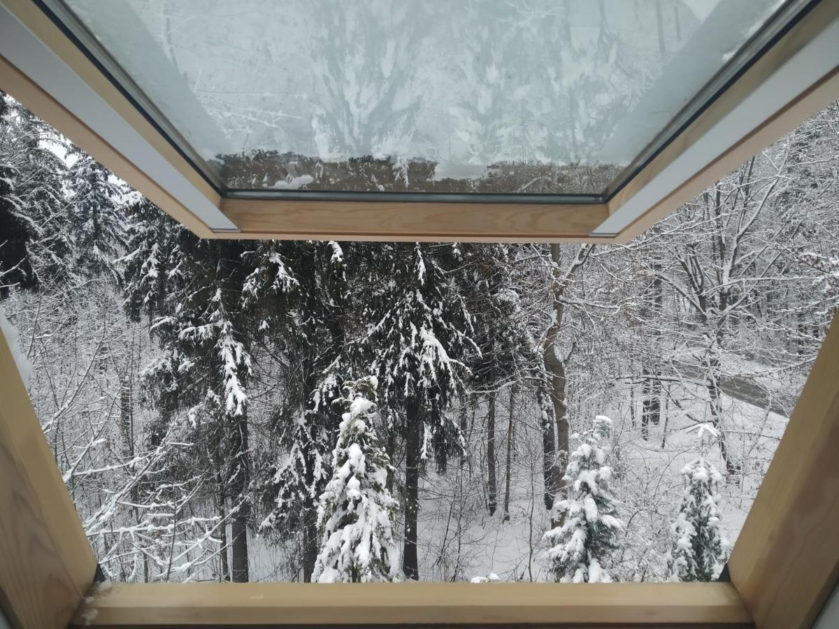 זקופאנה Apartamenty Krokiew מראה חיצוני תמונה